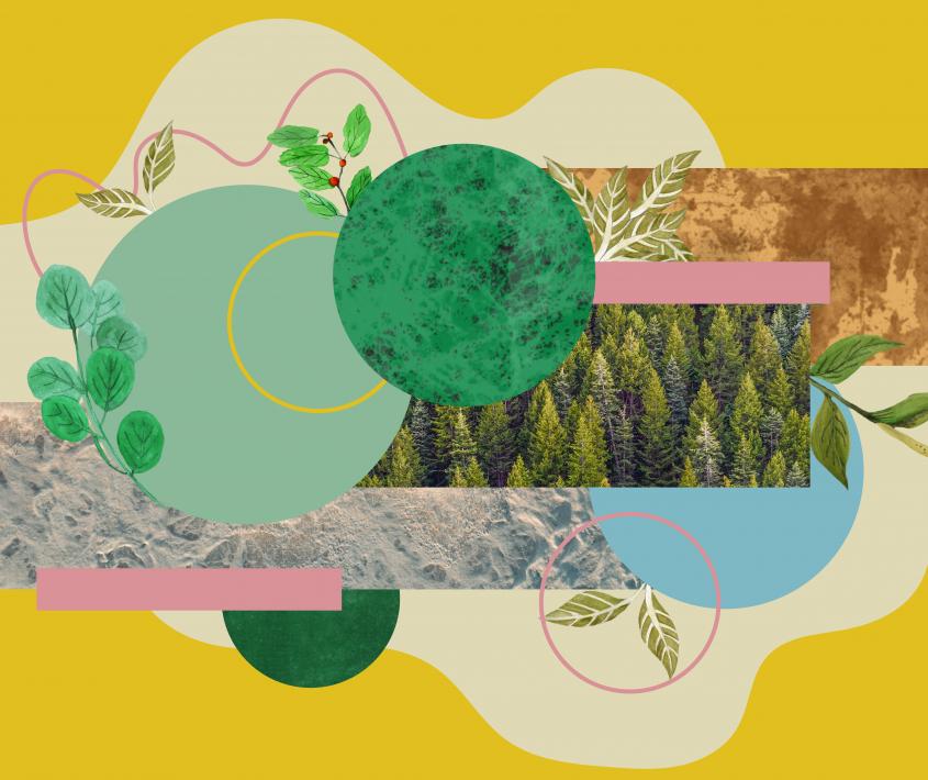 Vitales. Arte, naturaleza y cultura digital