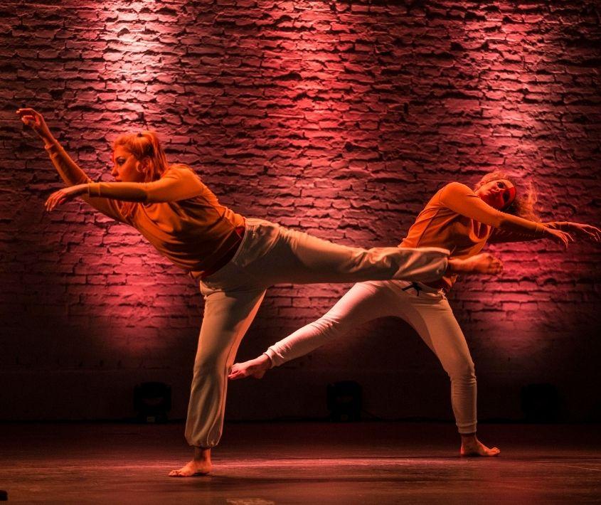 Festival Danza en Red III