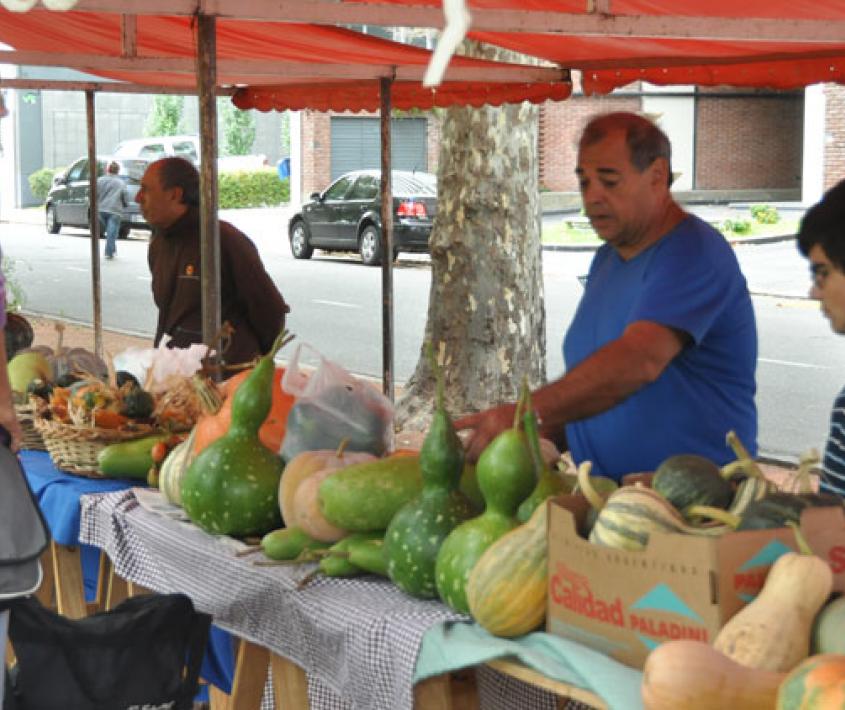 Feria Ecológica en el Sur