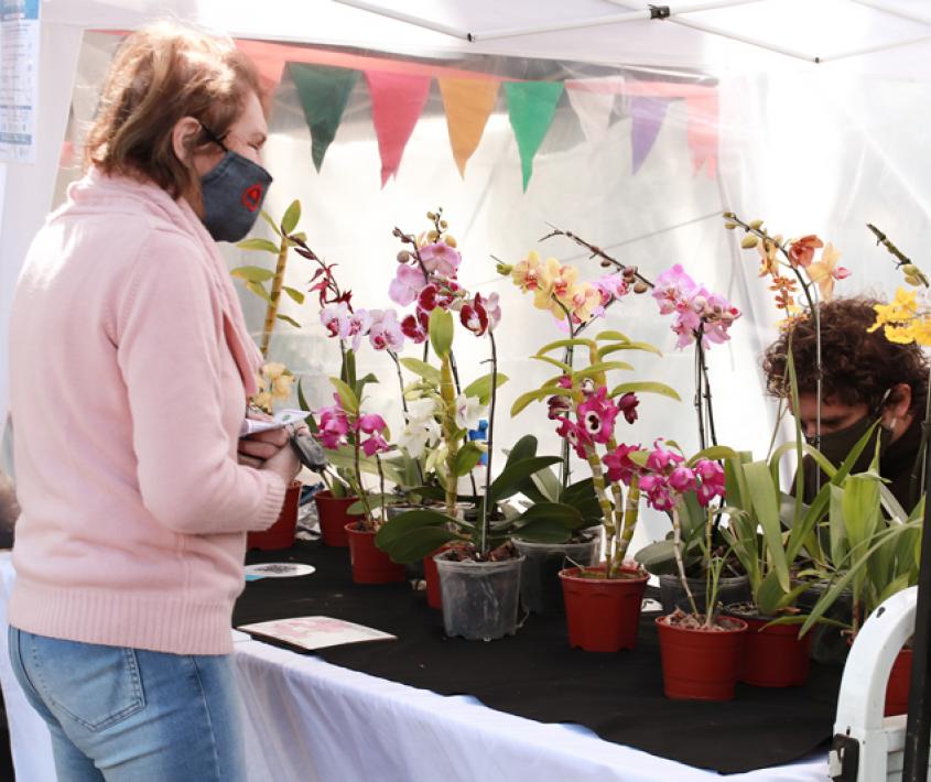 Feria autogestiva Creamos para vos