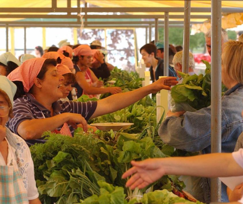 Feria ecológica en Parque Norte