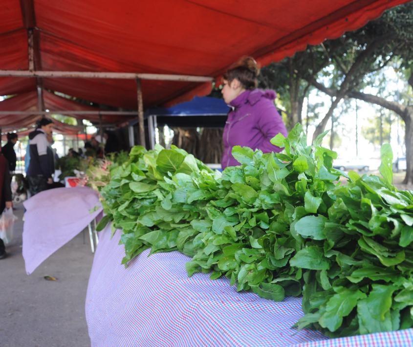 Feria ecológica Costa Alta