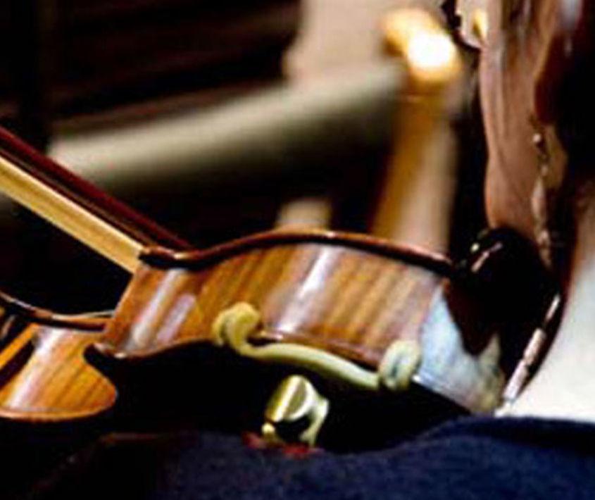 Organismos Estables / Artes Musicales en vivo