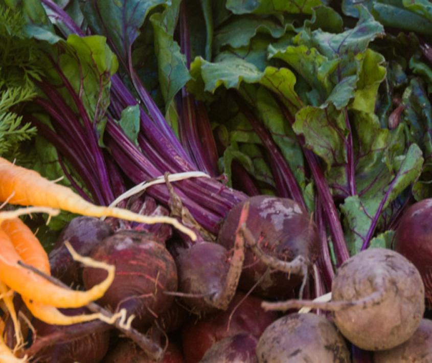 Feria Ecológica en las Cuatro Plazas