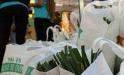 Canjes reciclables