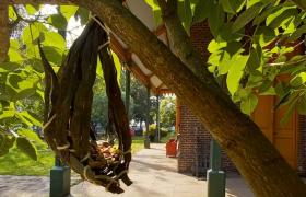 restaurantes de aves en Estación Embarcaderos