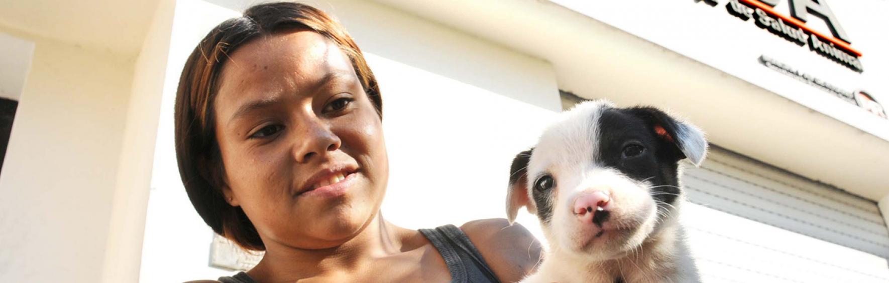 Esterilización de perros y gatos en Imusa